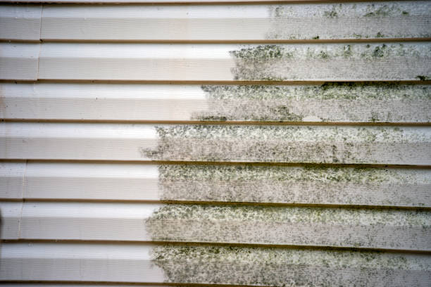 Best Construction Debris Removal  in Bristol, IN