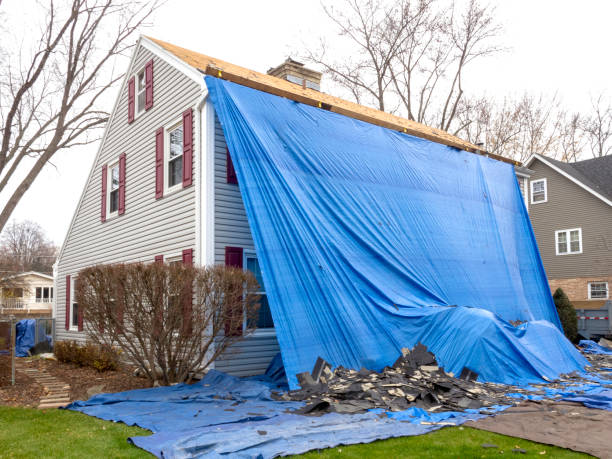 Best Yard Waste Removal  in Bristol, IN